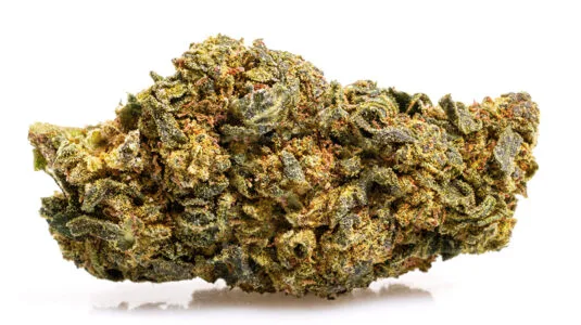 ORANGE CBD BOOST🍊