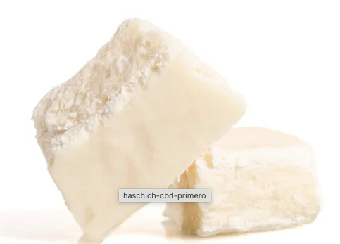 PRIMERO-CBD HASH | CBD<70%