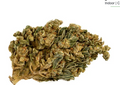HQ CBD BOOST - CBD 45% (small bud)